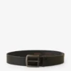 Everyday Belt